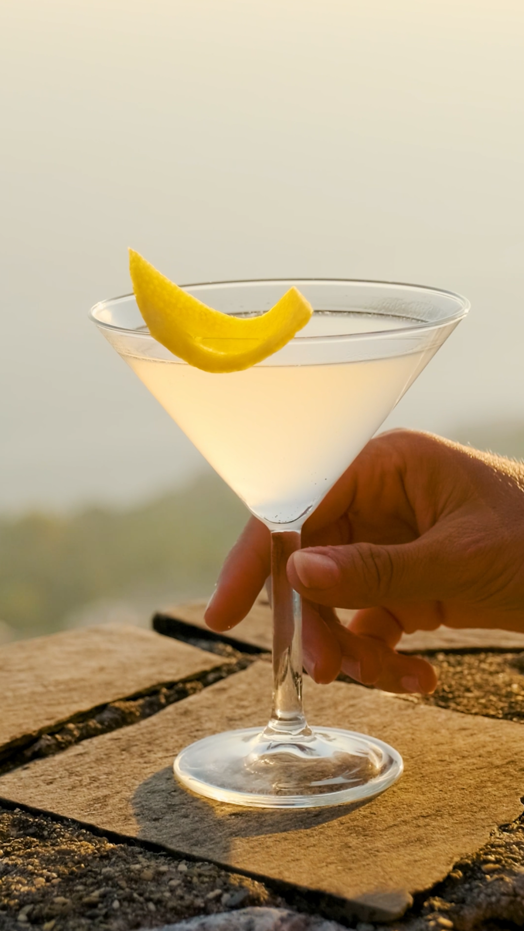 Una mano che tiene un martini con una fetta di limone, catturata da un talentuoso creatore di contenuti per scopi di webdesign